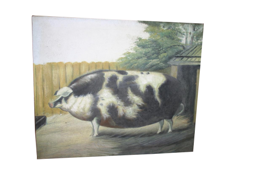 4336 quadro maiale (Custom).jpg_product